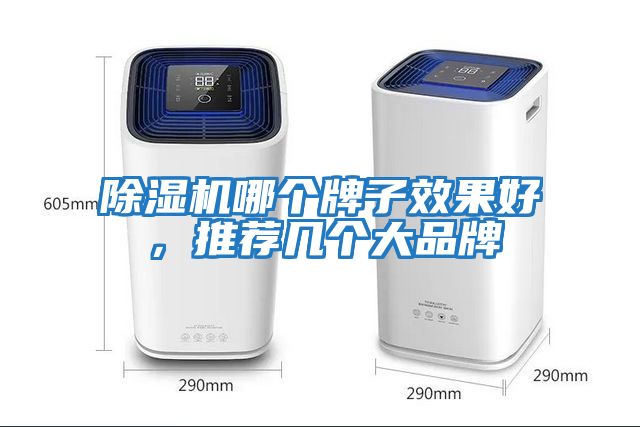 除濕機哪個(gè)牌子效果好，推薦幾個(gè)大品牌