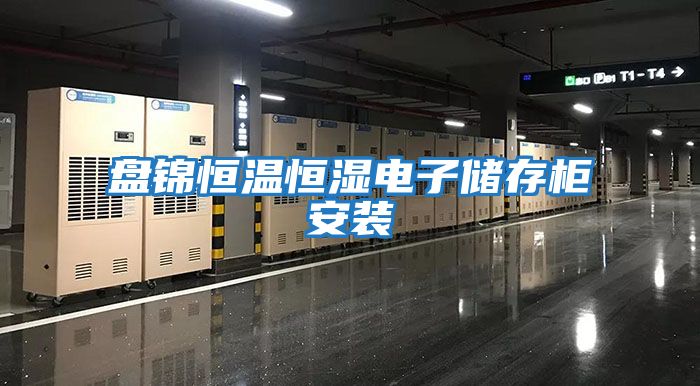 盤(pán)錦恒溫恒濕電子儲存柜安裝
