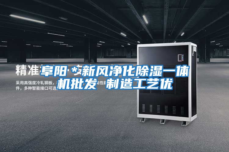 阜陽(yáng)＊新風(fēng)凈化除濕一體機批發(fā) 制造工藝優(yōu)