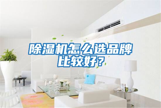 除濕機怎么選品牌比較好？