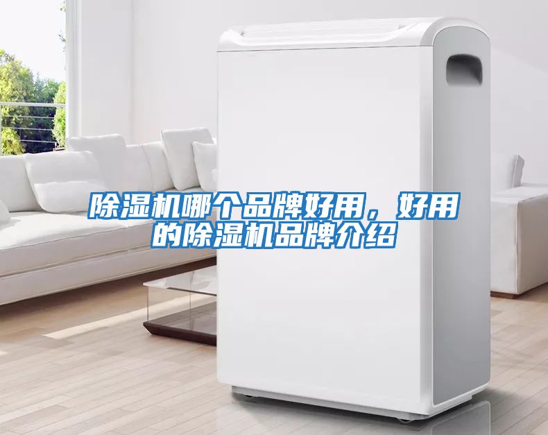 除濕機哪個(gè)品牌好用，好用的除濕機品牌介紹