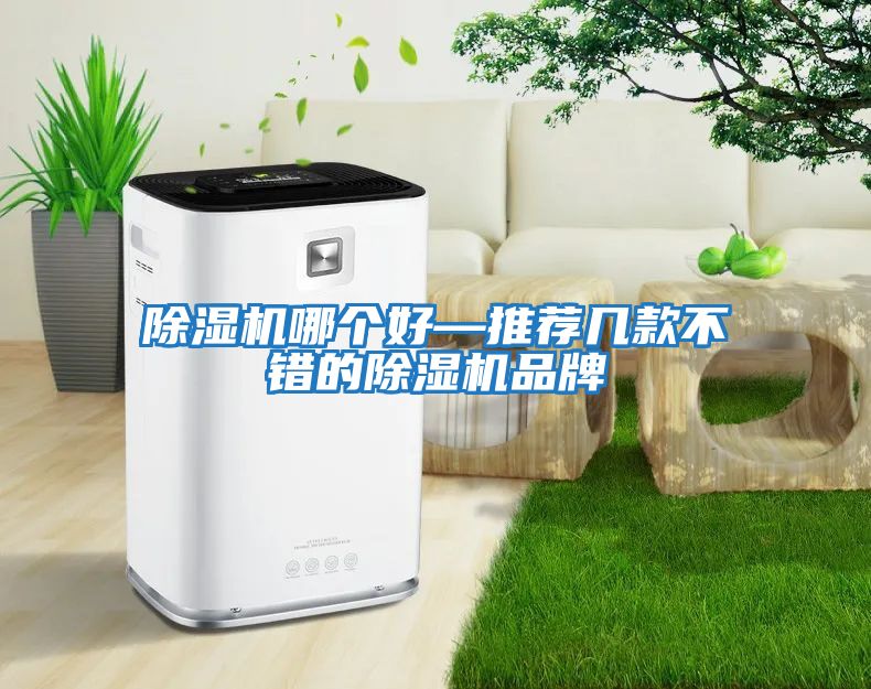 除濕機哪個(gè)好—推薦幾款不錯的除濕機品牌