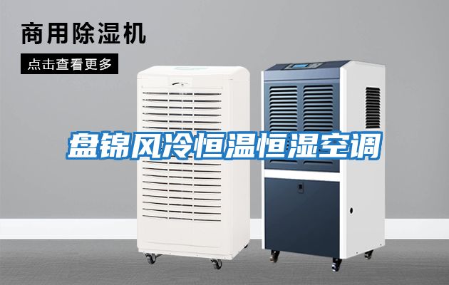 盤(pán)錦風(fēng)冷恒溫恒濕空調