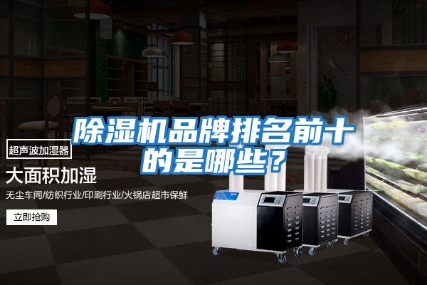 除濕機品牌排名前十的是哪些？