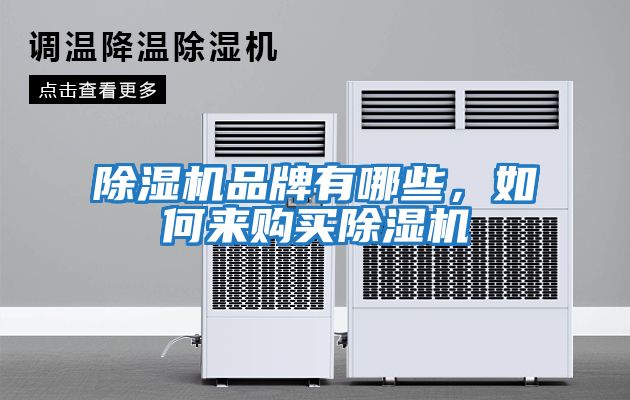 除濕機品牌有哪些，如何來(lái)購買(mǎi)除濕機