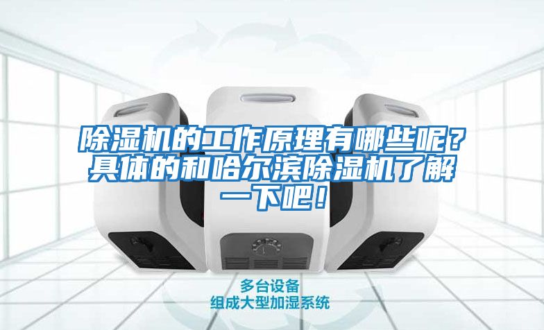 除濕機的工作原理有哪些呢？具體的和哈爾濱除濕機了解一下吧！