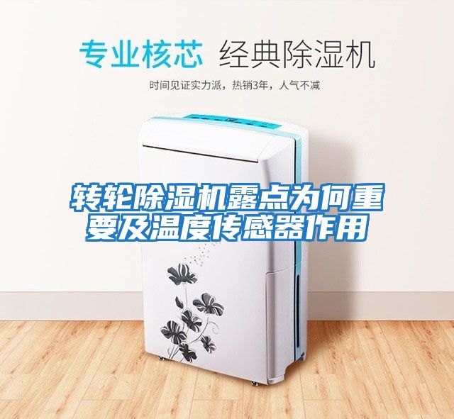 轉輪除濕機露點(diǎn)為何重要及溫度傳感器作用