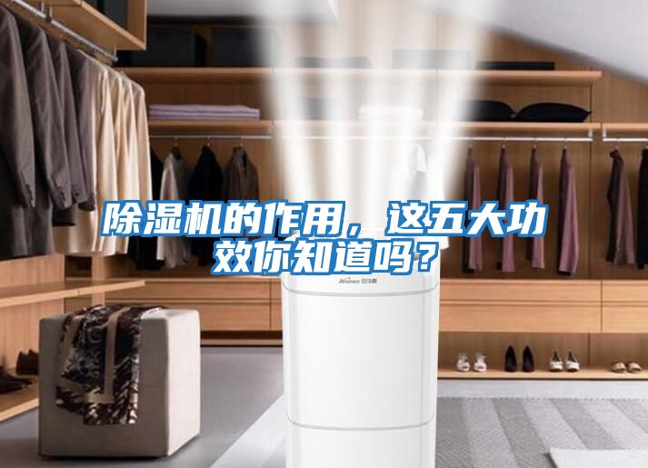 除濕機的作用，這五大功效你知道嗎？