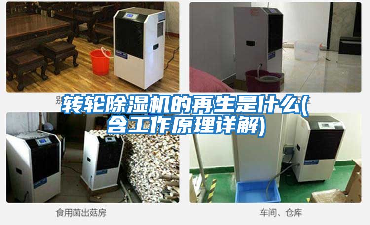 轉輪除濕機的再生是什么(含工作原理詳解)