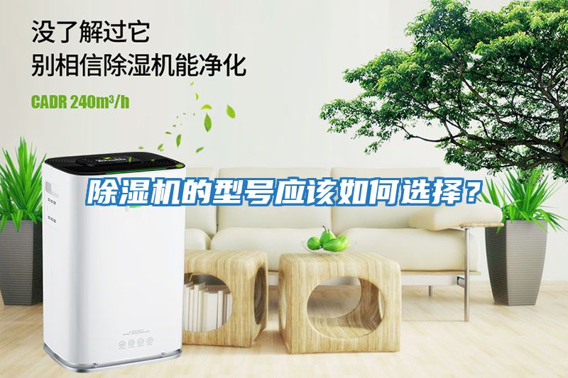 除濕機的型號應該如何選擇？