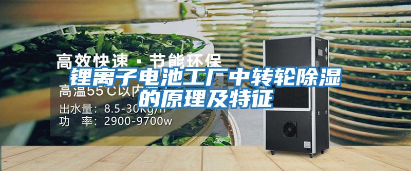 鋰離子電池工廠(chǎng)中轉輪除濕的原理及特征