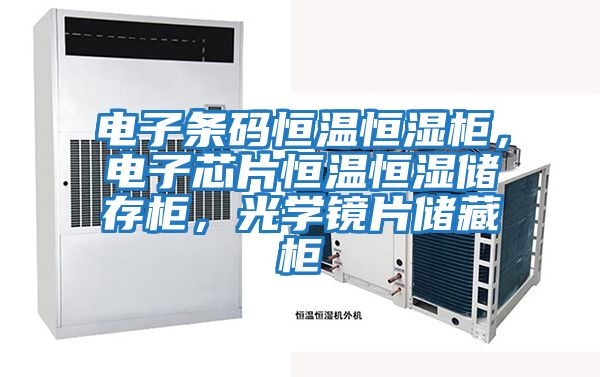 電子條碼恒溫恒濕柜，電子芯片恒溫恒濕儲存柜，光學(xué)鏡片儲藏柜