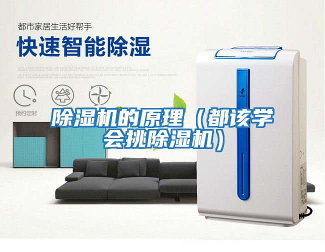 除濕機的原理（都該學(xué)會(huì )挑除濕機）