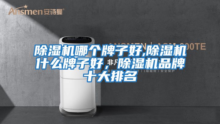 除濕機哪個(gè)牌子好,除濕機什么牌子好，除濕機品牌十大排名