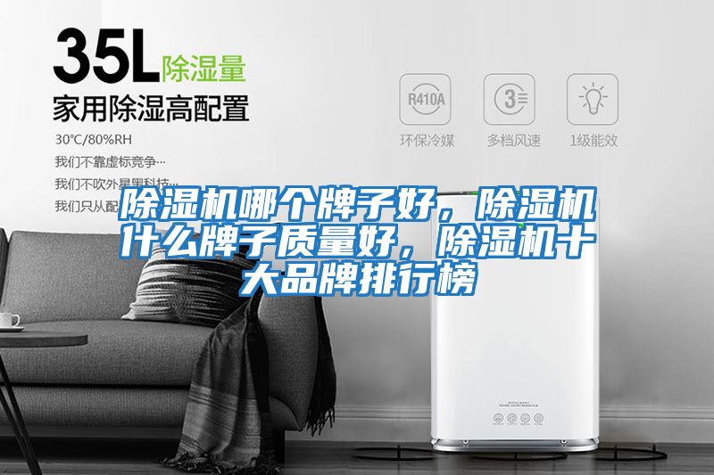 除濕機哪個(gè)牌子好，除濕機什么牌子質(zhì)量好，除濕機十大品牌排行榜
