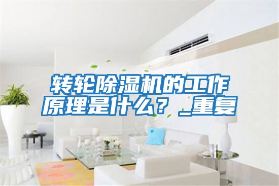 轉輪除濕機的工作原理是什么？_重復