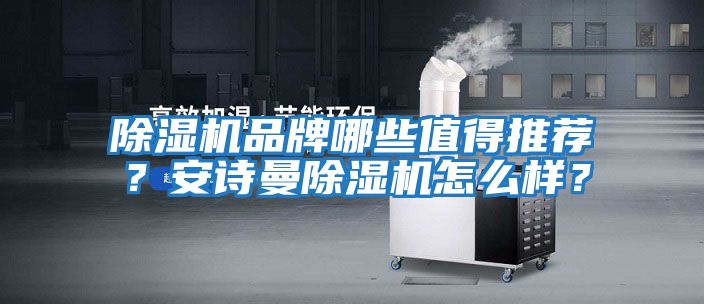 除濕機品牌哪些值得推薦？安詩(shī)曼除濕機怎么樣？