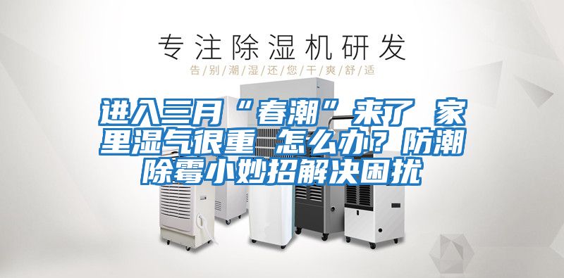 進(jìn)入三月“春潮”來(lái)了 家里濕氣很重 怎么辦？防潮除霉小妙招解決困擾