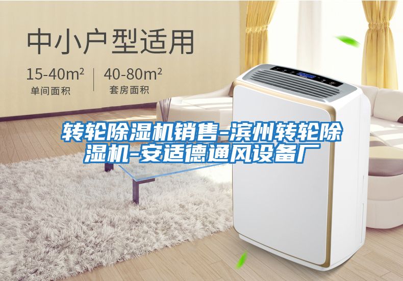 轉輪除濕機銷(xiāo)售-濱州轉輪除濕機-安適德通風(fēng)設備廠(chǎng)