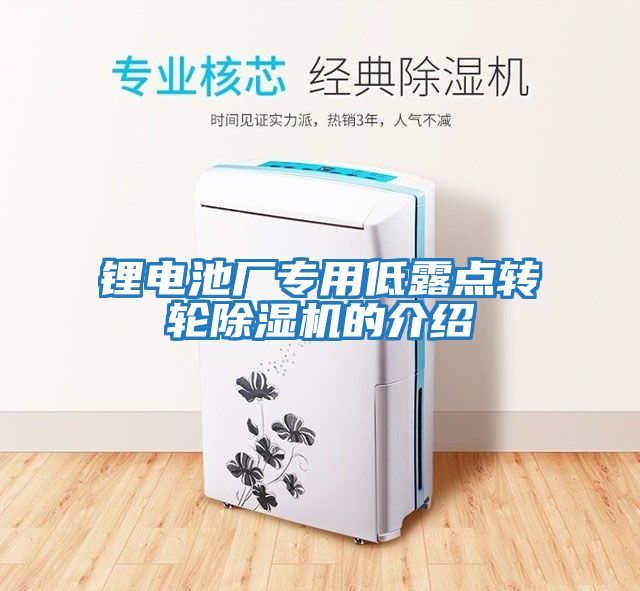 鋰電池廠(chǎng)專(zhuān)用低露點(diǎn)轉輪除濕機的介紹
