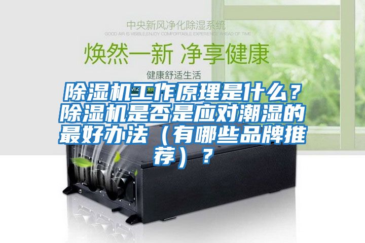 除濕機工作原理是什么？除濕機是否是應對潮濕的最好辦法（有哪些品牌推薦）？