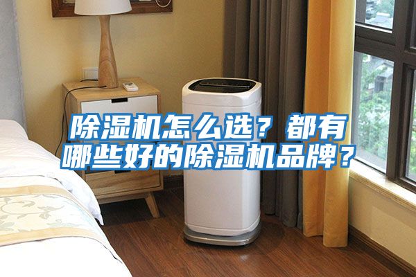 除濕機怎么選？都有哪些好的除濕機品牌？