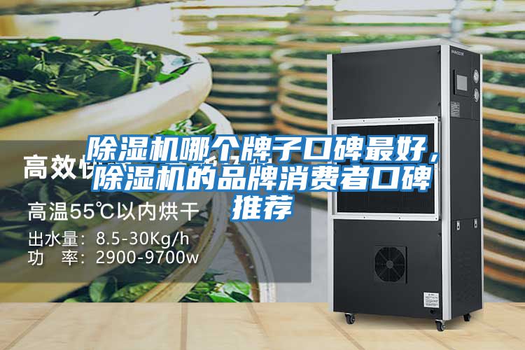 除濕機哪個(gè)牌子口碑最好，除濕機的品牌消費者口碑推薦