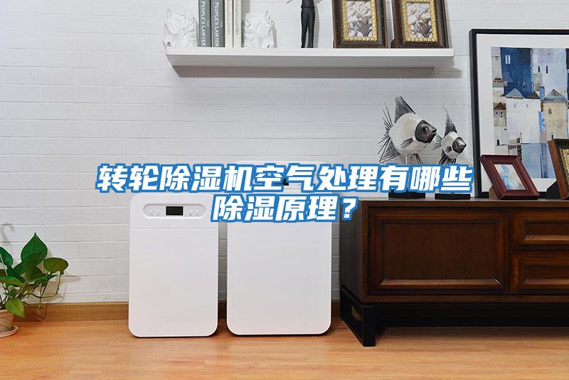轉輪除濕機空氣處理有哪些除濕原理？