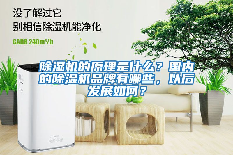 除濕機的原理是什么？國內的除濕機品牌有哪些，以后發(fā)展如何？