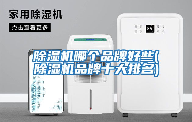 除濕機哪個(gè)品牌好些(除濕機品牌十大排名)