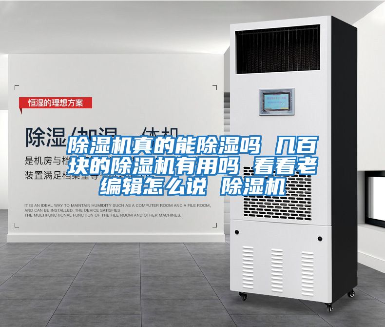 除濕機真的能除濕嗎 幾百塊的除濕機有用嗎 看看老編輯怎么說(shuō) 除濕機