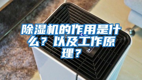 除濕機的作用是什么？以及工作原理？