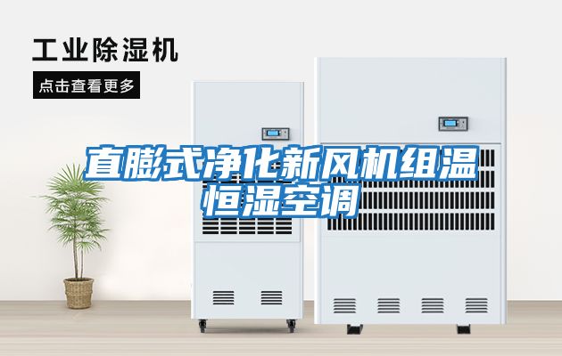 直膨式凈化新風(fēng)機組溫恒濕空調