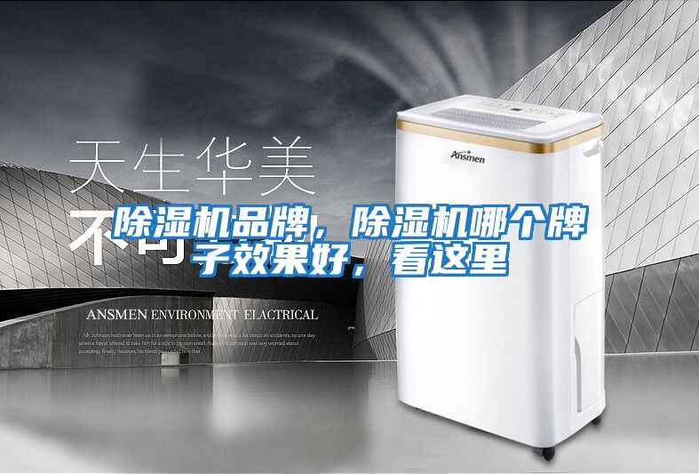除濕機品牌，除濕機哪個(gè)牌子效果好，看這里