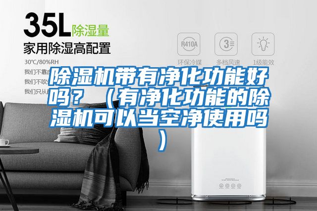 除濕機帶有凈化功能好嗎？（有凈化功能的除濕機可以當空凈使用嗎）