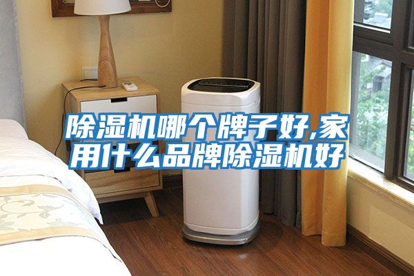 除濕機哪個(gè)牌子好,家用什么品牌除濕機好
