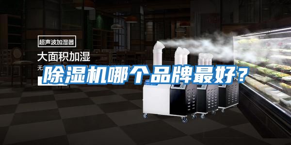 除濕機哪個(gè)品牌最好？