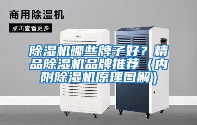 除濕機哪些牌子好？精品除濕機品牌推薦（內附除濕機原理圖解）