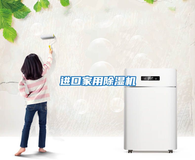進(jìn)口家用除濕機