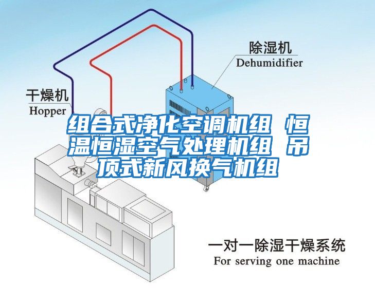 組合式凈化空調機組 恒溫恒濕空氣處理機組 吊頂式新風(fēng)換氣機組