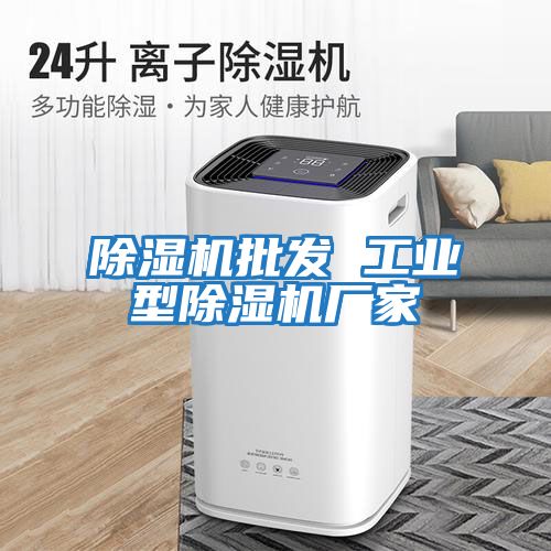 除濕機批發(fā) 工業(yè)型除濕機廠(chǎng)家