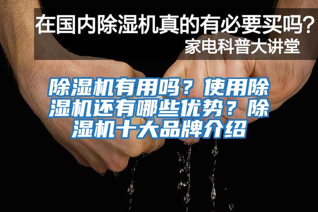 除濕機有用嗎？使用除濕機還有哪些優(yōu)勢？除濕機十大品牌介紹