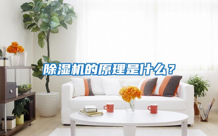 除濕機的原理是什么？