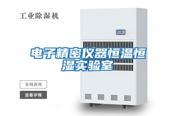 電子精密儀器恒溫恒濕實(shí)驗室