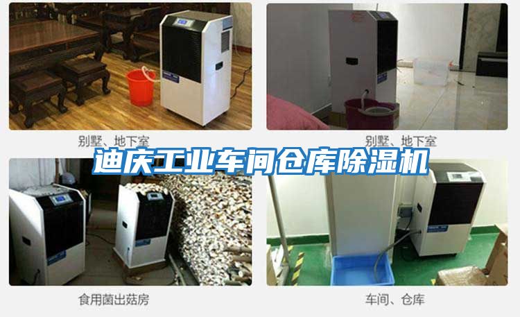 迪慶工業(yè)車(chē)間倉庫除濕機