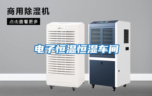 電子恒溫恒濕車(chē)間
