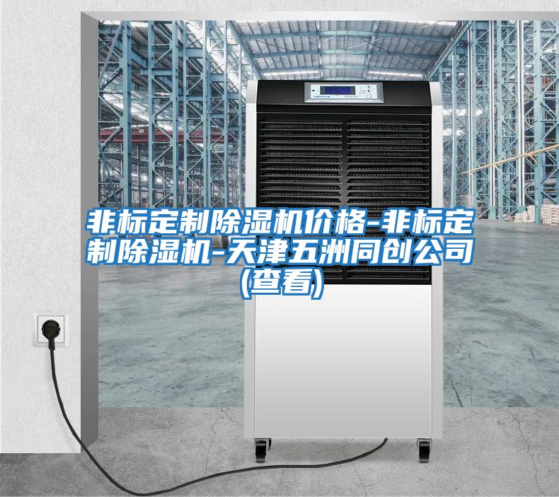 非標定制除濕機價(jià)格-非標定制除濕機-天津五洲同創(chuàng  )公司(查看)