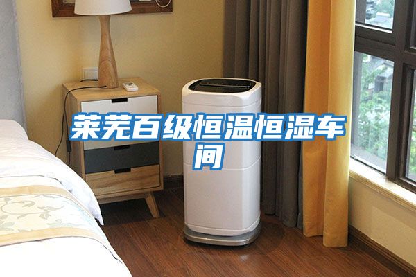 萊蕪百級恒溫恒濕車(chē)間