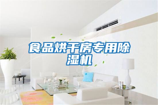 食品烘干房專(zhuān)用除濕機