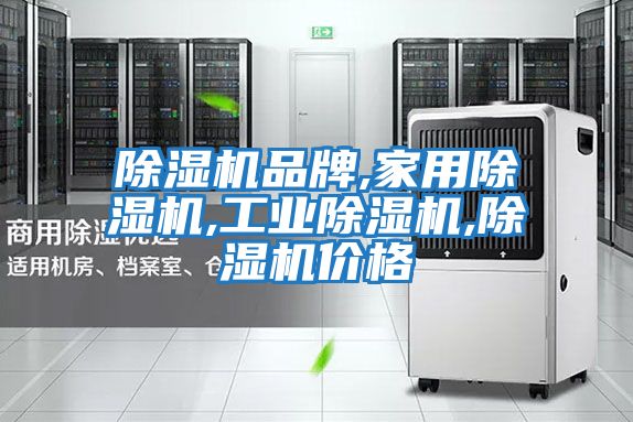 除濕機品牌,家用除濕機,工業(yè)除濕機,除濕機價(jià)格